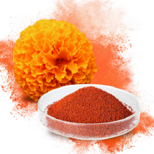 Marigold Flower Lutein
